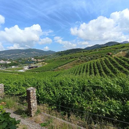 Al Vigneto Lägenhet Sestri Levante Exteriör bild